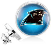 Carolina Panthers Silver Pin Lapel Broach Football Team Gift W Gift Pkg D23