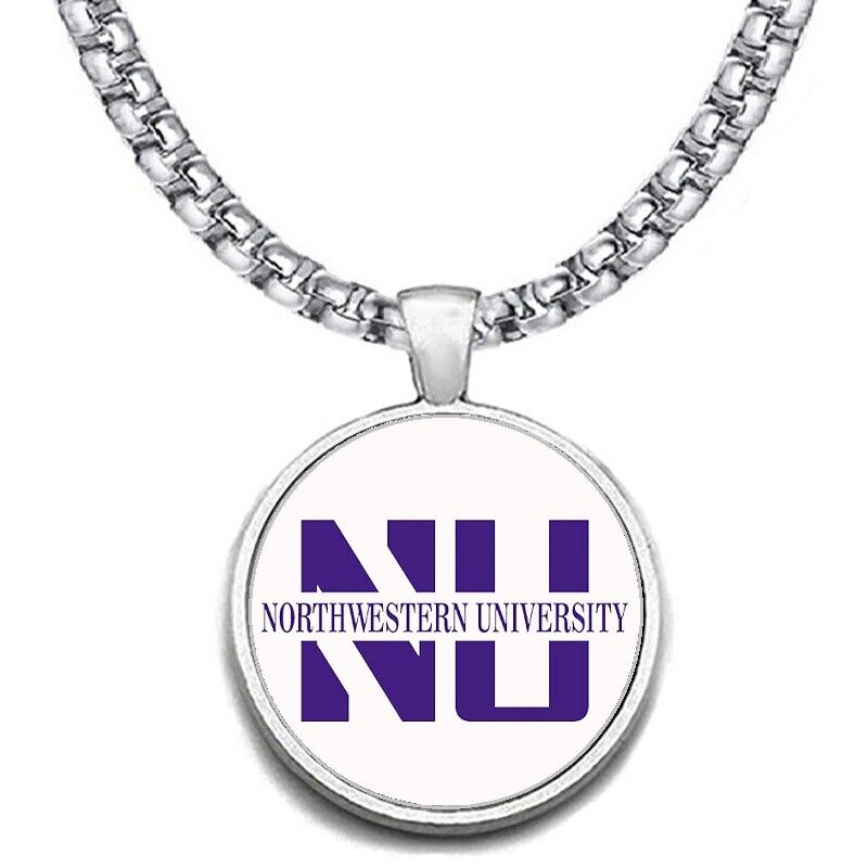Large Northwestern Wildcats 24" Chain Stainless Pendant Necklace Free Ship' D30